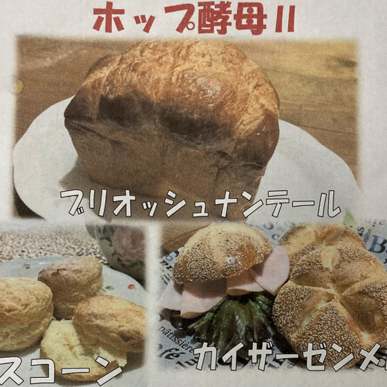 自家製酵母「ホップ種Ⅱ」レッスン