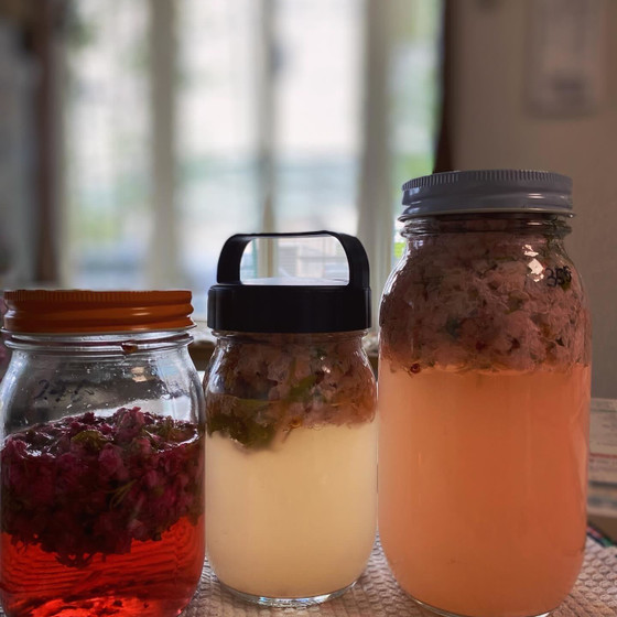 自家培養酵母パンレッスンー八重桜酵母で『ベーグル』