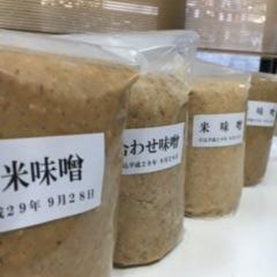 発酵教室・味噌作り