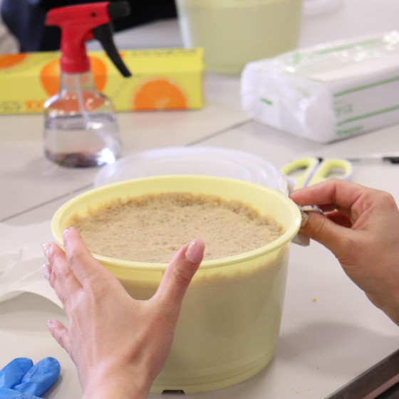 特別Lesson*。お味噌屋さんによる味噌仕込みと*・秋の味覚を楽しむ味噌料理.