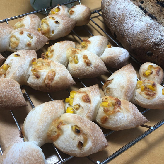 【イースト】コーンとチーズのエピとアプリコットノア