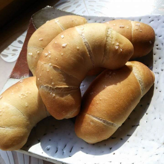 ソフトフランス・塩パン・焼きドーナツ