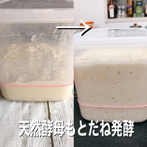2種の天然酵母パン・サワー種～初心者ok～ランチ付き