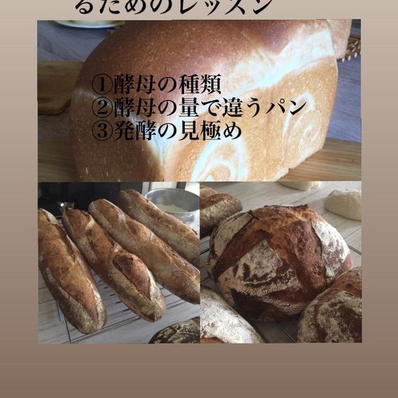 美味しい酵母パンを作るためのレッスン