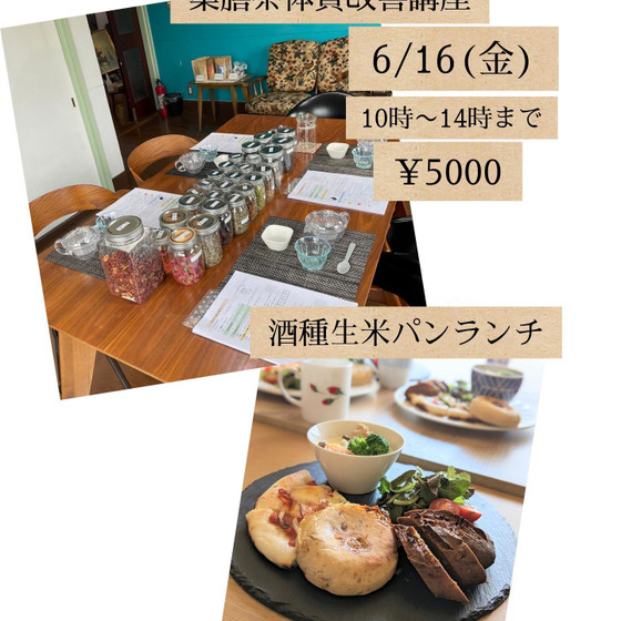 薬膳茶体質改善講座