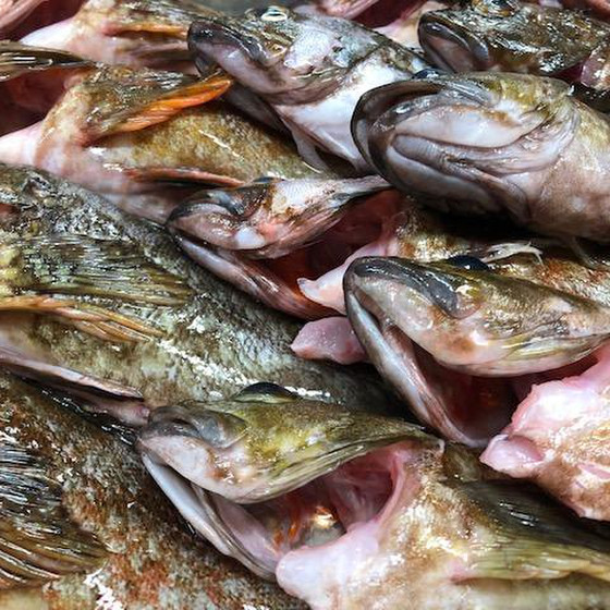 お魚さばき教室