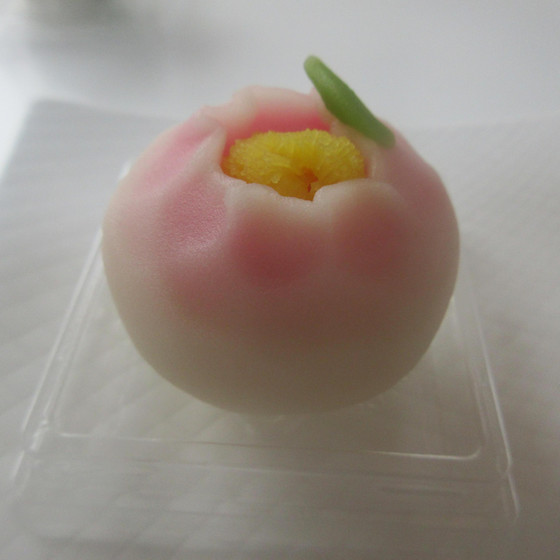 1月の和菓子は　椿　と　かりんとう饅頭