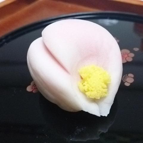 山茶花（さざんか）