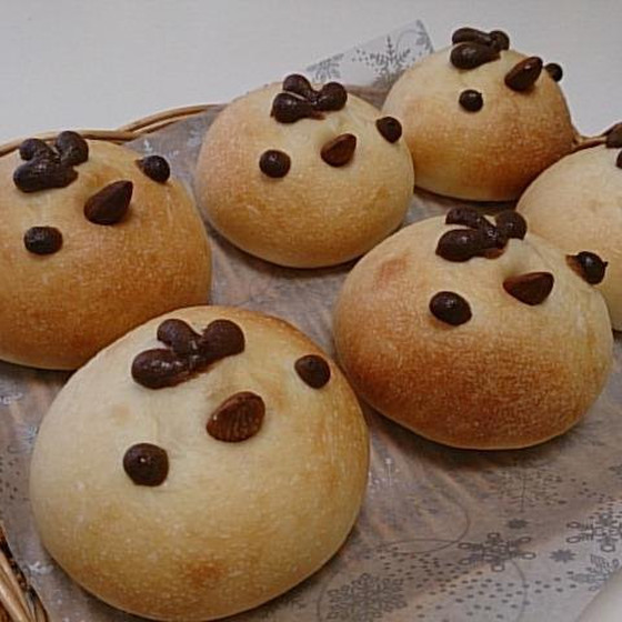 パン「クリームコッコ」1月お勧めレッスン