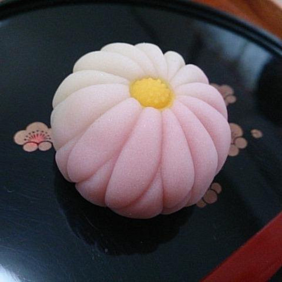 和菓子「練り切り～着せ綿＆大輪～」9月お薦めレッスン♪