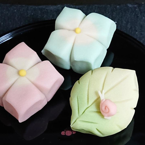 ６月：紫陽花＆梅雨明け