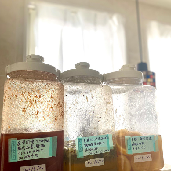 発酵ドリンクは3種のうちいずれかをお出しします