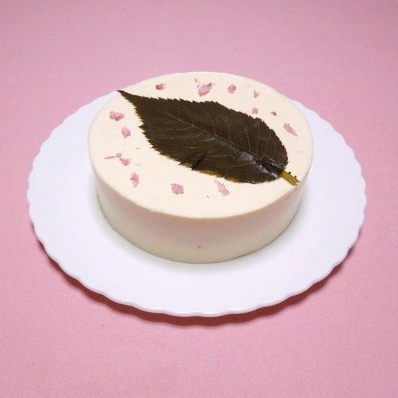 桜のレアチーズケーキ