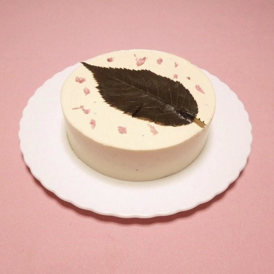 桜のレアチーズケーキ