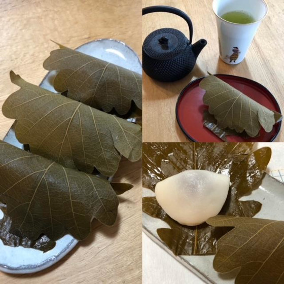 和菓子教室＜かしわ餅＞