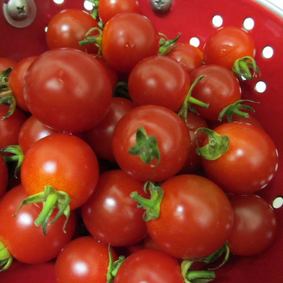 夏の保存食作りレッスン