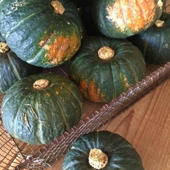 秋野菜のせいろ蒸しと自家製たれ2種～その他おかず計5品