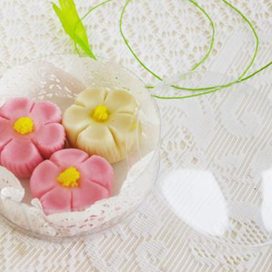 デコ和菓子体験！練り切りで「春なでしこ」を作ります。