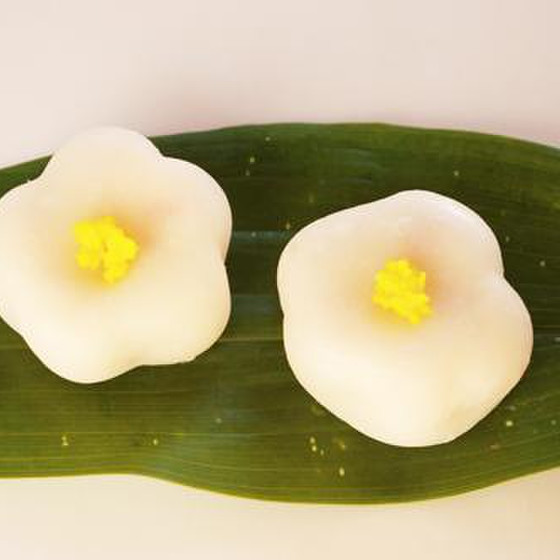 季節の和菓子レッスン　「 白梅餅」