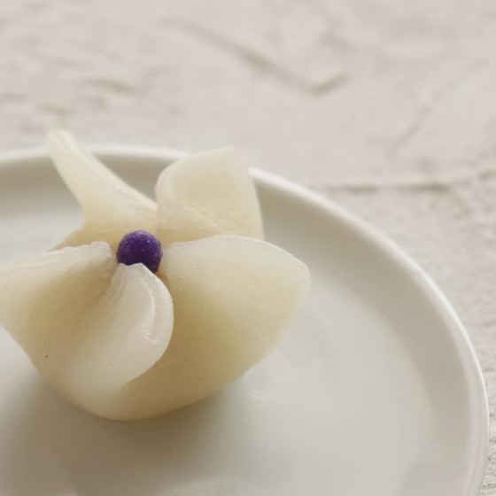 季節の和菓子レッスン　「ホワイトフラワー」