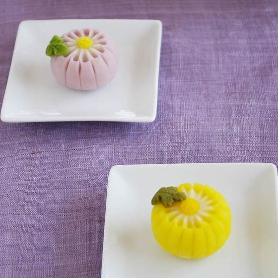 重陽の節供「菊」の練り切り