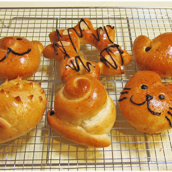 動物パン