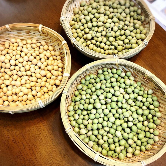 天然醸造、無添加！手作り味噌教室（麦麹、米糀、合わせ麹）