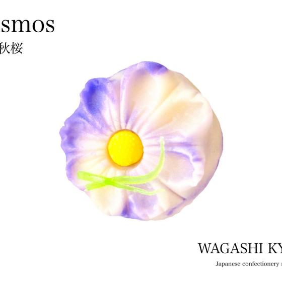 【湘南藤沢和菓子づくり】秋桜〜練り切り〜