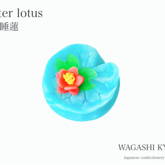 【湘南藤沢和菓子づくり】睡蓮〜練り切り〜