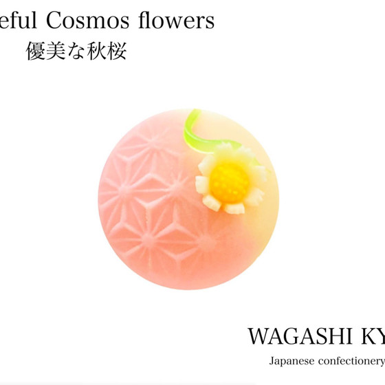 【湘南藤沢和菓子づくり】優美な秋桜〜練り切り〜