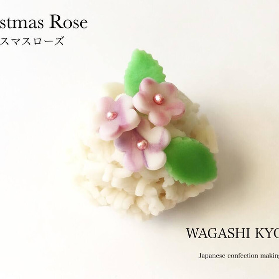 【湘南藤沢和菓子づくり】クリスマスローズ〜練り切り〜