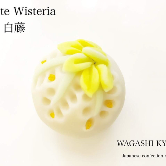 【湘南藤沢和菓子づくり】白藤〜練り切り〜