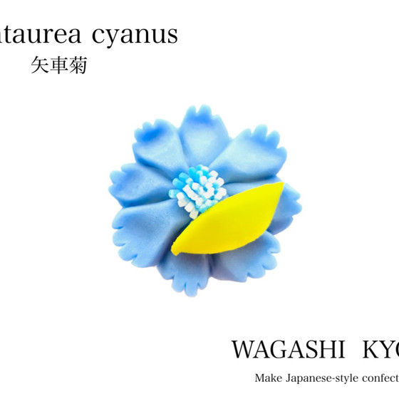 【湘南藤沢和菓子づくり】矢車菊〜練り切り〜