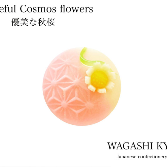 【湘南藤沢和菓子づくり】優美な秋桜〜練り切り〜