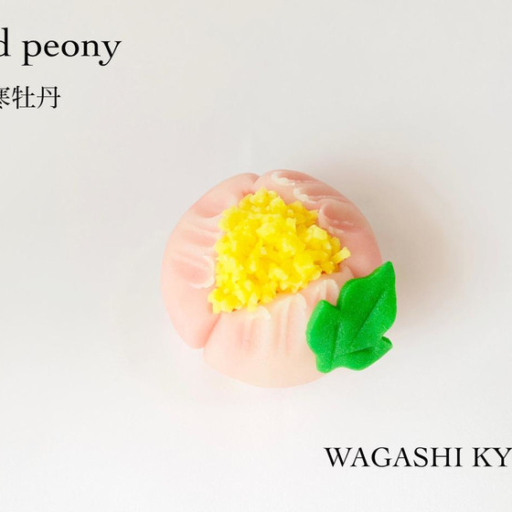【湘南藤沢和菓子づくり】寒牡丹〜練り切り〜