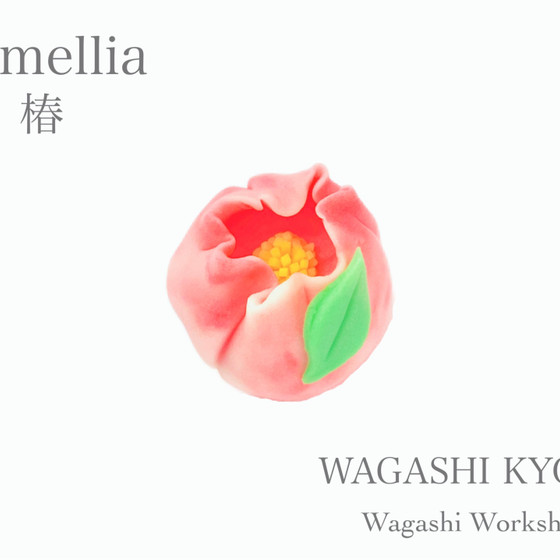 【湘南藤沢和菓子づくり】椿 〜練り切り〜
