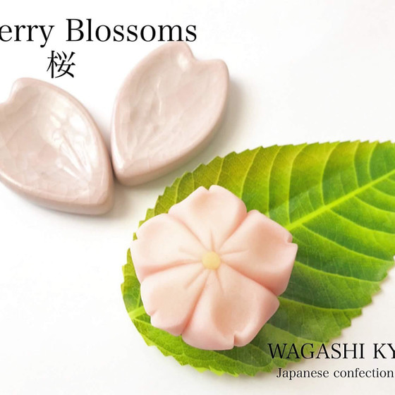 【湘南藤沢和菓子づくり】桜〜練り切り〜