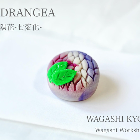 【6月の和菓子教室】紫陽花七変化〜練り切り〜