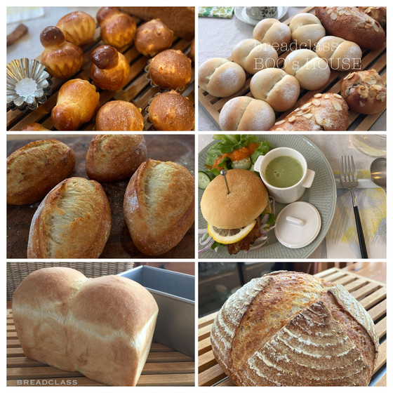 【Bread class basic】シンプルなお食事パンを学ぶ１２ヶ月