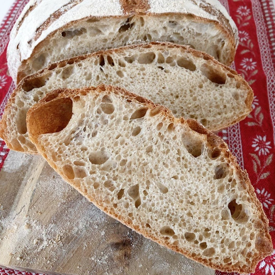 スペルト小麦のロデヴ
