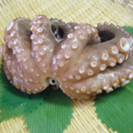 旬魚講座