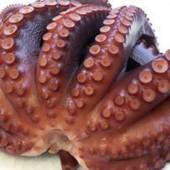 魚料理「明石タコ」