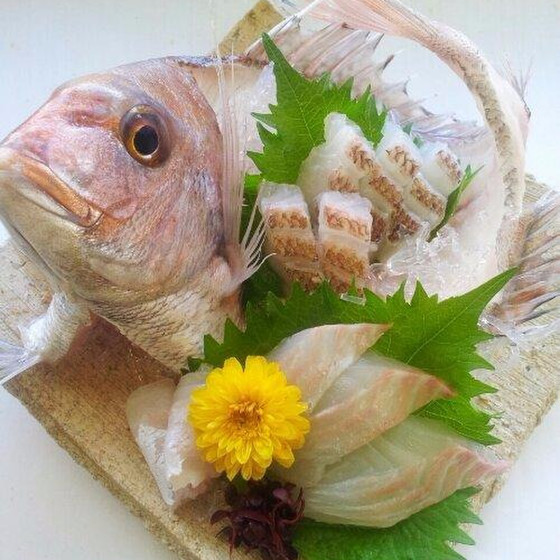 「鯛の姿造り」　