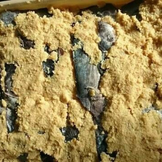 さばき上級 サワラ