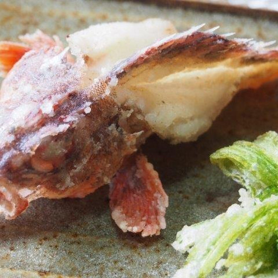 初級「カサゴ」他