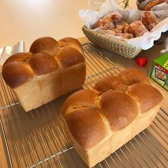 ・生クリーム食ぱん・ベニエ(ドライイースト)