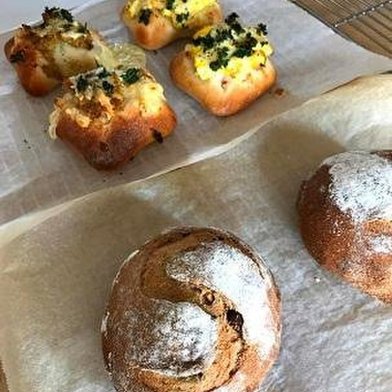 ナッツとフルーツの全粒ぱん・チーズ入りほうれん草ぱんホシノ