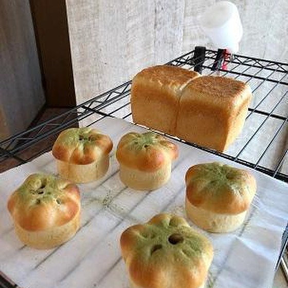 ふんわり食ぱん・ミルクぱん(ホシノ天然酵母)