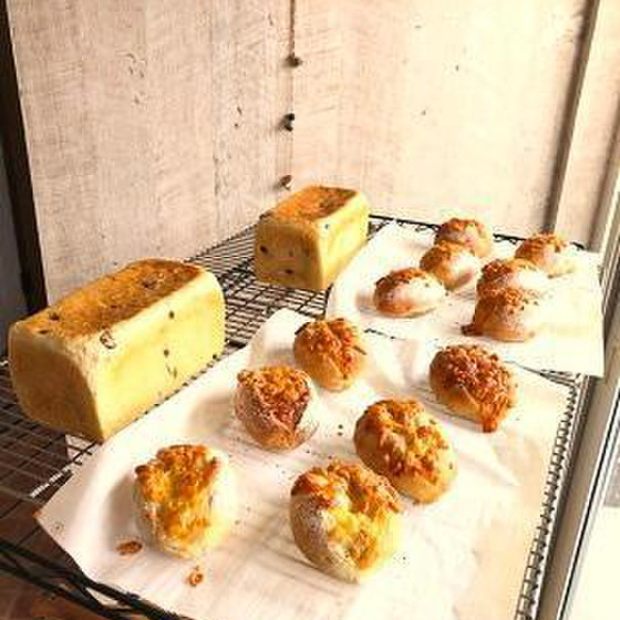 フルーツ食ぱん・チーズぱん(ドライイースト  )