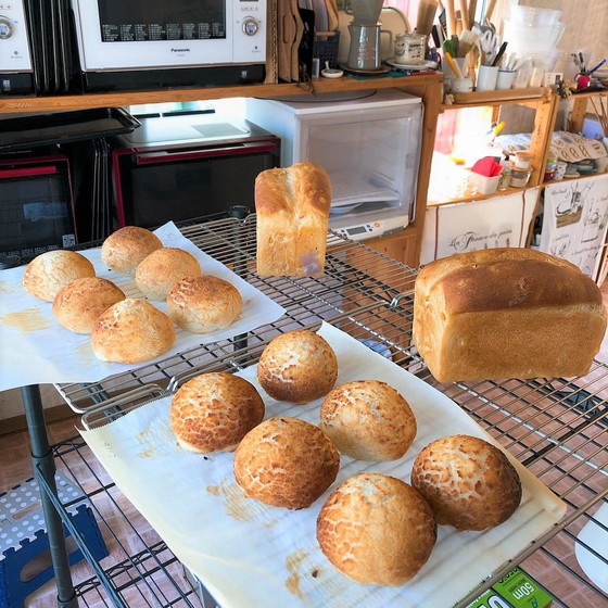 ダッチブレッド・レモンピールの食ぱん(ホシノ天然酵母)